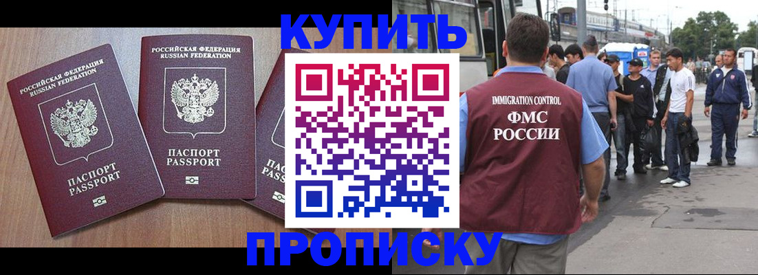 прописка 2025 в Козельске